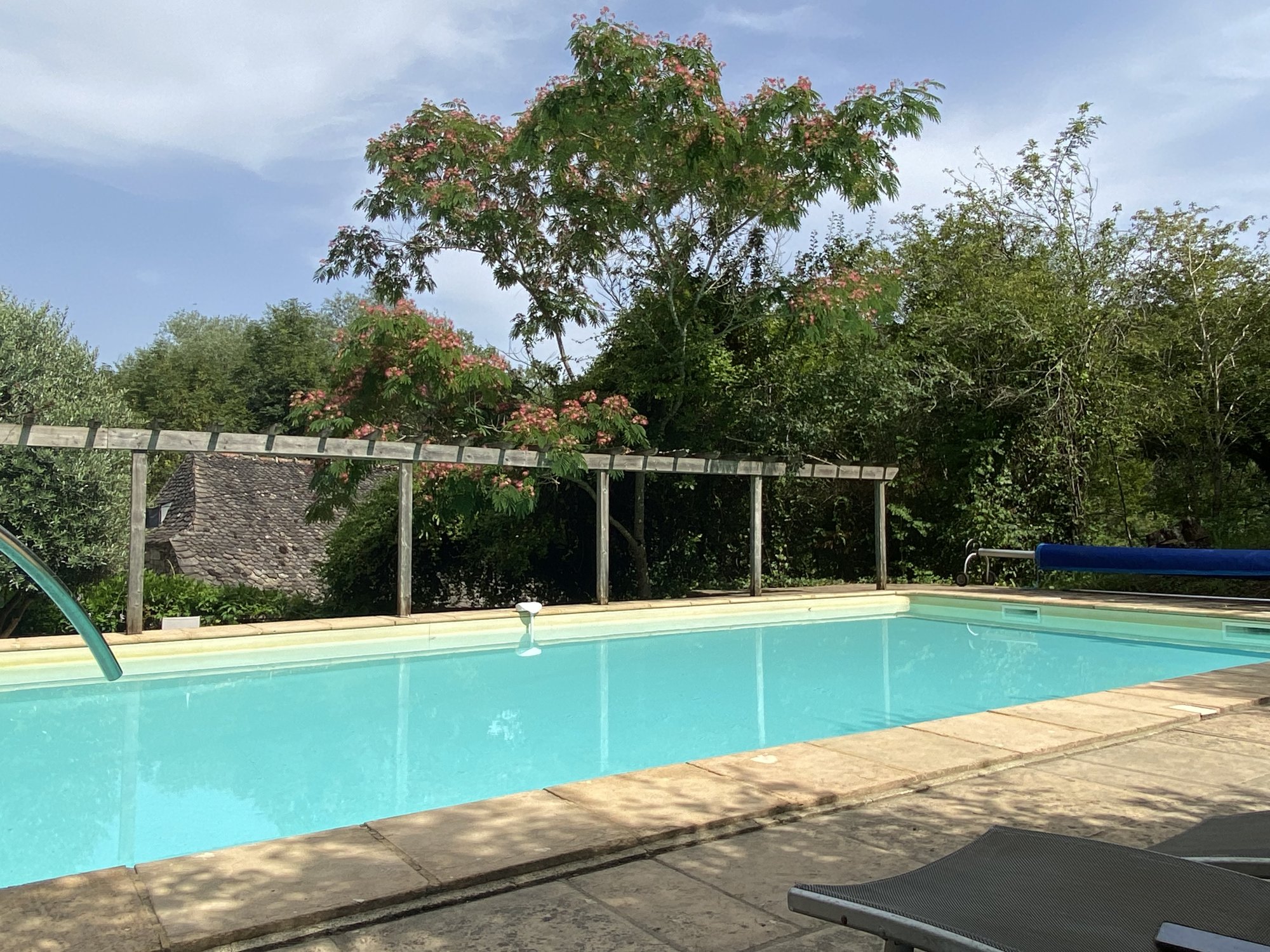 The pool under the pergola